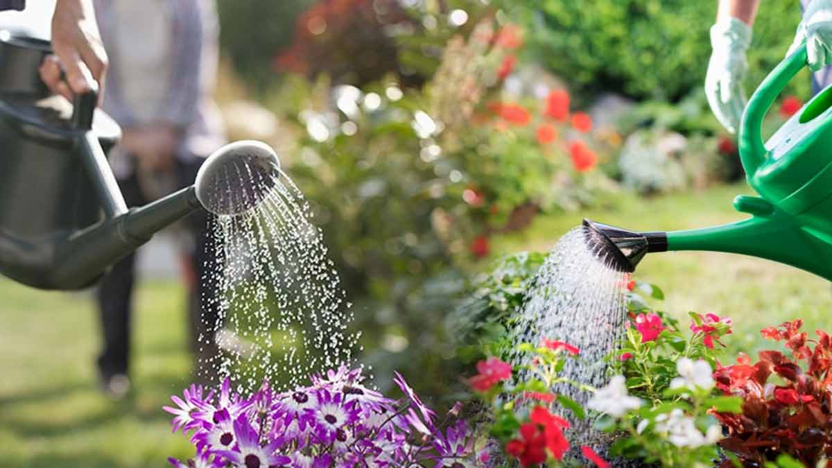 Astuces innovantes pour économiser l’eau pour le jardin pendant l’été qui promet une nouvelle fois d’être très chaud