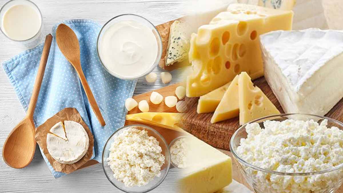 intolerance-au-lactose-quelles-sont-les-alternatives-les-plus-interessantes-aux-produits-laitiers-que-vous-disposez