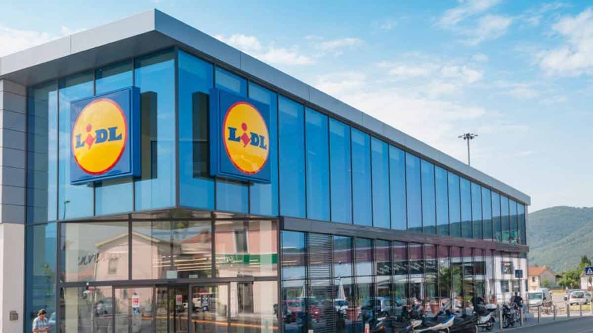 lidl-pour-moins-de-40-euros-lenseigne-allemande-vous-propose-un-meuble-de-rangement-extraordinaire