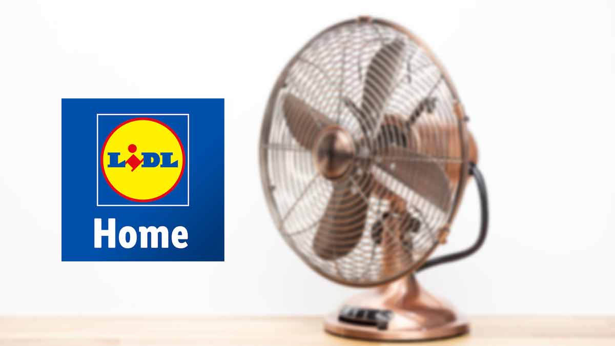 pour-cet-ete-lidl-vous-devoile-ce-ventilateur-indispensable-pour-eviter-de-souffrir-de-la-chaleur