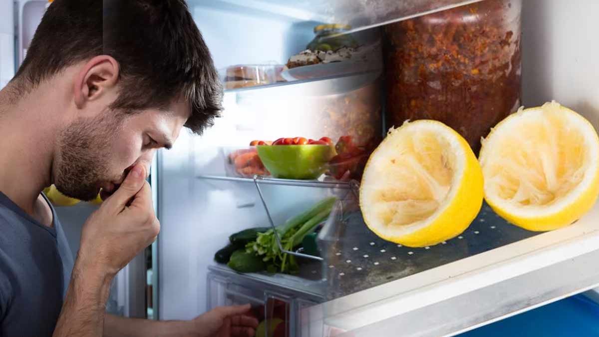 comment-eliminer-les-mauvaises-odeurs-du-frigo-avec-seulement-du-bicarbonate-de-soude