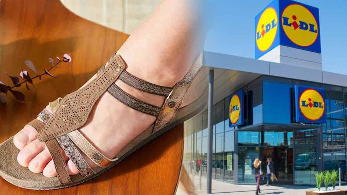 lidl-assure-cet-ete-decouvrez-ces-superbes-sandales-a-seulement-5-euros