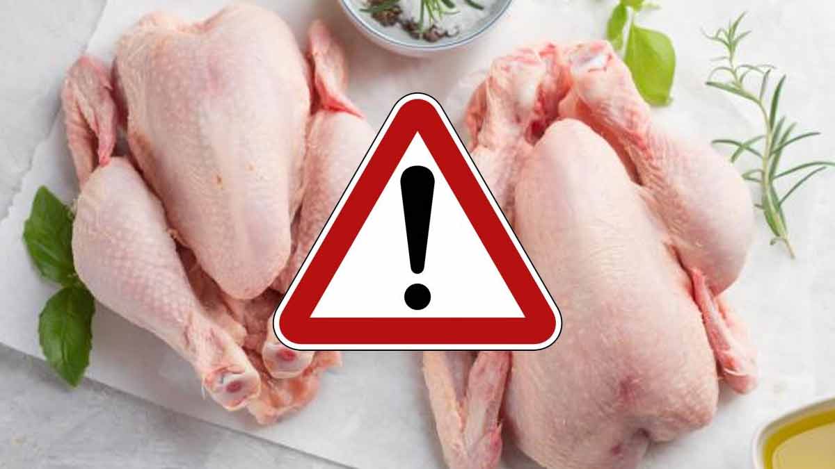 listeria-une-nouvelle-contamination-entraine-le-rappel-massif-de-nombreux-poulet-vendu-en-grande-surface