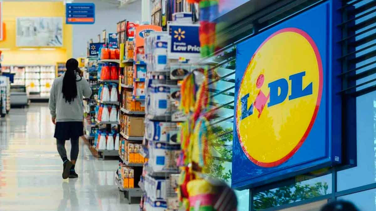 Lidl nouveau concept