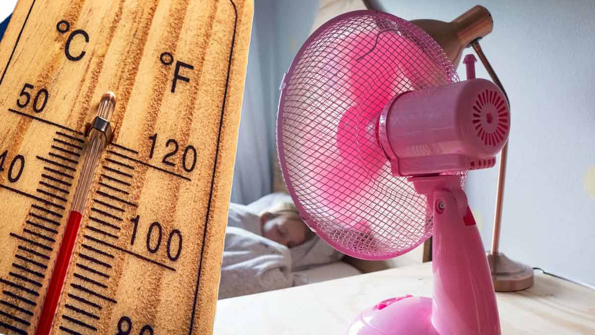 canicule ventilateur