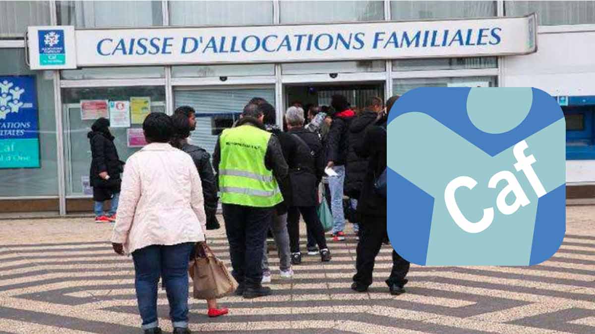 fraude aux aides sociales