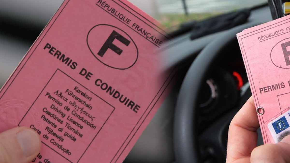 permis de conduire points