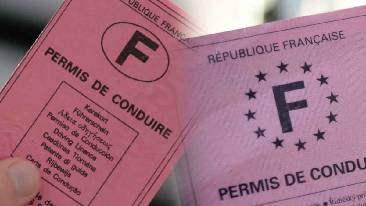 permis de conduire rose