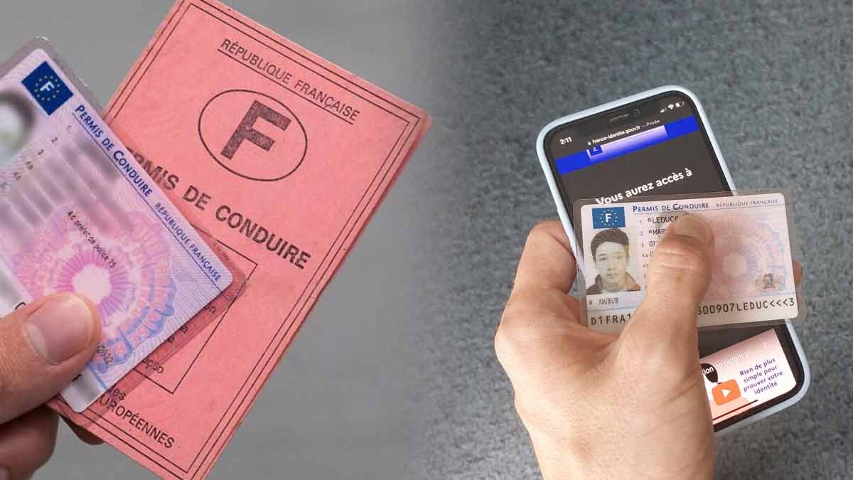 permis de conduire téléphone