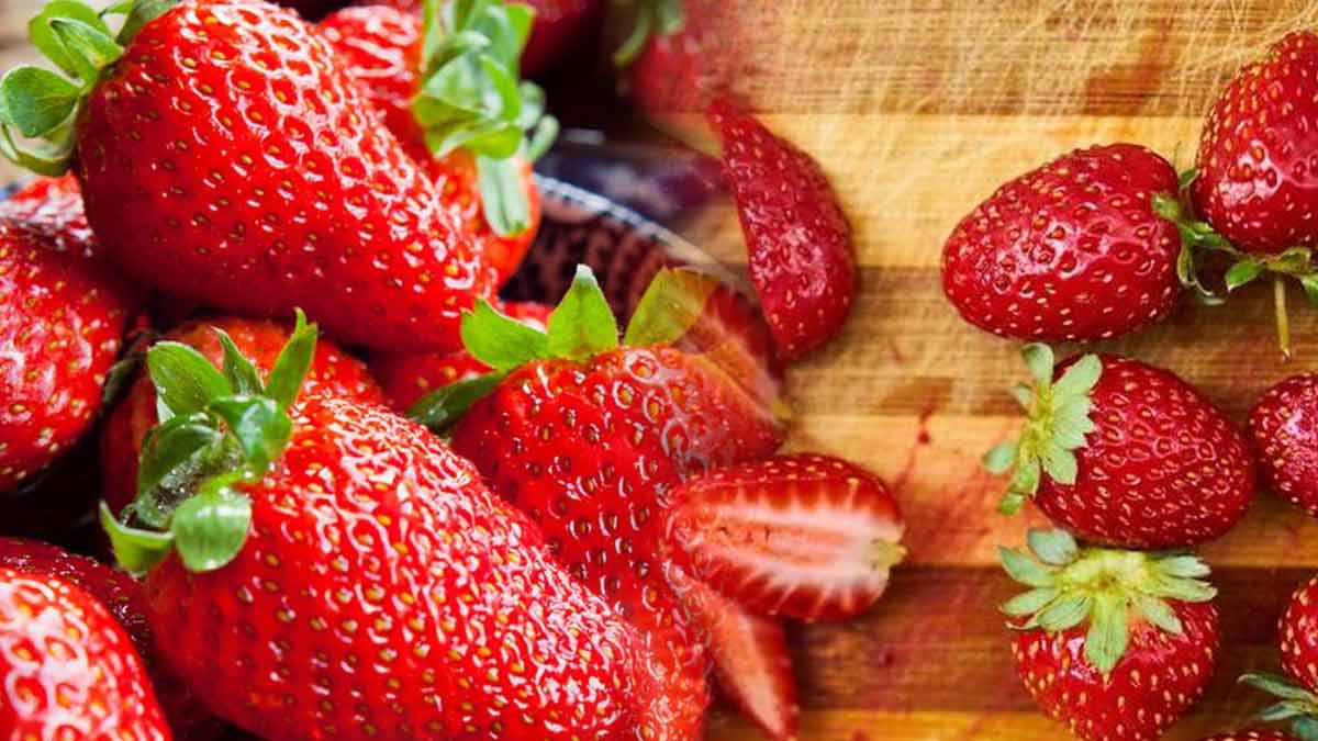 prolonger la fraîcheur de vos fraises