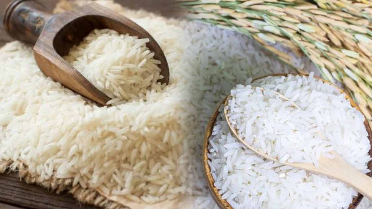 riz contaminé métaux lourds