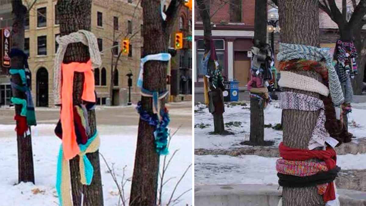 écharpes accrochées aux arbres