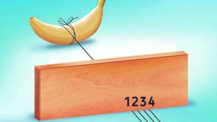 Découvrez le défi du fil de banane