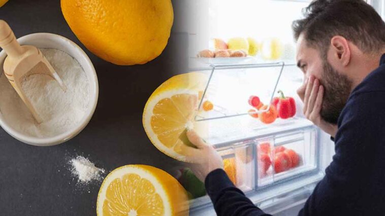 Éliminez efficacement les mauvaises odeurs de votre frigo avec cette méthode maison