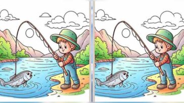 Identifiez 3 différences dans cette image de pêche en seulement 12 secondes