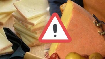 Alerte sur les fromages : Morbier, Raclette, Tomme rappelés !