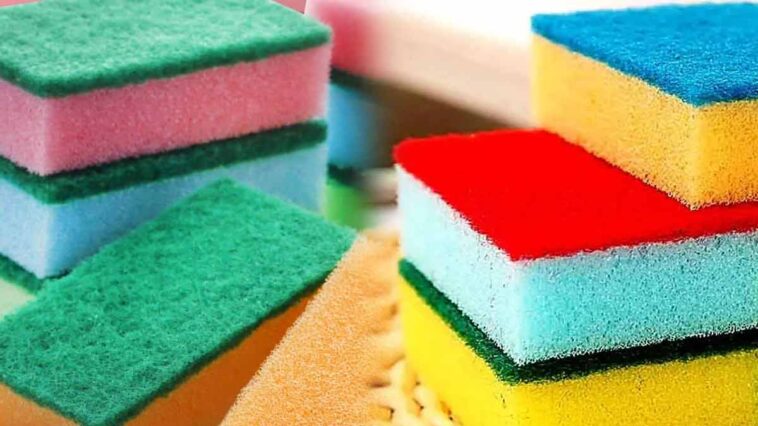 Secrets révélés : Découvrez le mystère derrière la couleur des éponges de cuisine peu connu!