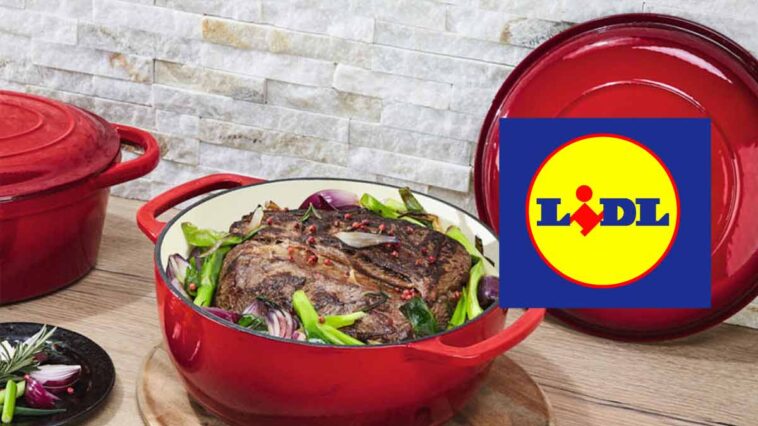 La cocotte idéale de Lidl : Parfaite pour préparer vos délicieux repas fait maison!