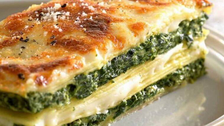 Lasagnes délicieuses à la ricotta et aux épinards: Un festin simple et savoureux pour les jours froids !