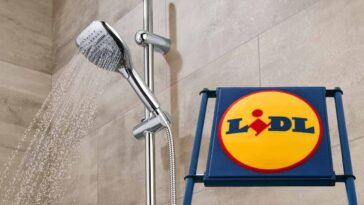 Pommeau de douche Lidl: 5 jets à prix doux, une offre irrésistible à ne pas manquer!