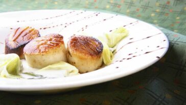 Coquilles Saint-Jacques aux poireaux : une fusion divine de saveurs à savourer absolument!