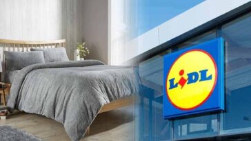 Draps Lidl : Douceur et chaleur en 3 couleurs pour des nuits parfaites!