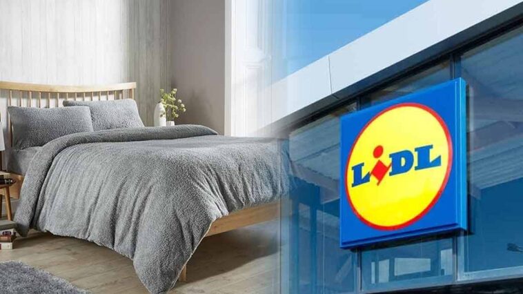 Draps Lidl : Douceur et chaleur en 3 couleurs pour des nuits parfaites!