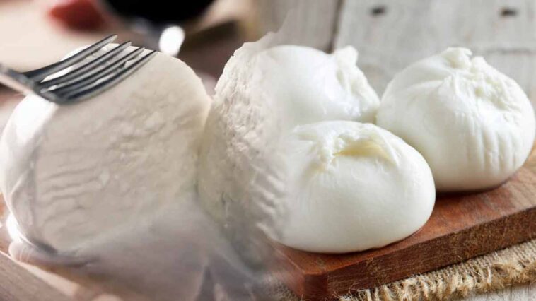 La meilleure mozzarella en supermarché : Découverte par 60 Millions de Consommateurs !