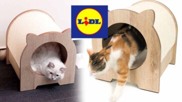 Le banc à gratter Lidl : la solution idéale pour préserver votre canapé des griffures félines!