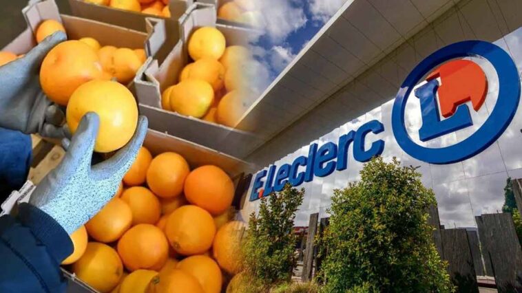 Rappel de produit : Leclerc retire en masse des oranges surchargées de pesticides, un rappel crucial pour la santé!