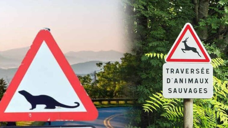 Découvrez l'indispensable panneau de signalisation pour protéger nos amis les animaux !