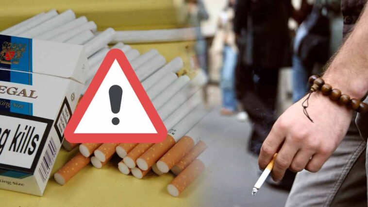 Fausses cigarettes : Des ateliers clandestins produisant des Contrefaçons exposés !