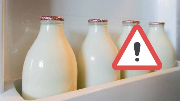 Attention ! Voici pourquoi vous ne devriez jamais stocker le lait dans la porte de votre frigo