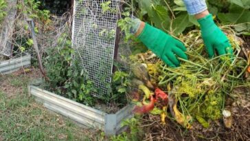 Recyclez les mauvaises herbes : une astuce efficace pour votre jardin !