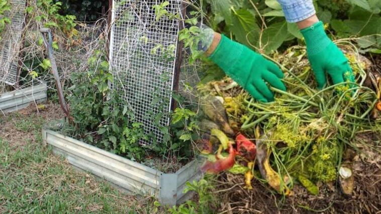 Recyclez les mauvaises herbes : une astuce efficace pour votre jardin !